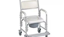 Adult Potty Chairs for Seniors