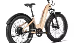 Best Electric Bikes for Seniors
