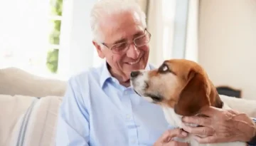 Dogs for Seniors as a Companion