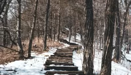 Grants for Seniors in Minnesota