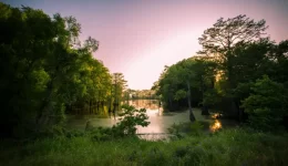 Grants for Seniors in Mississippi