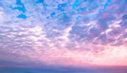 Grants for Seniors in New Jersey