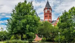 Grants for Seniors in Alabama