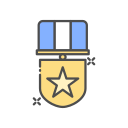 Veteran Status: 13.9%